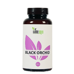 Black Orchid