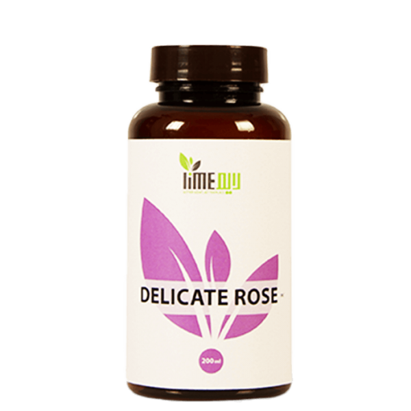 Delicate Rose
