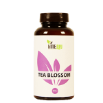 Tea Blossom