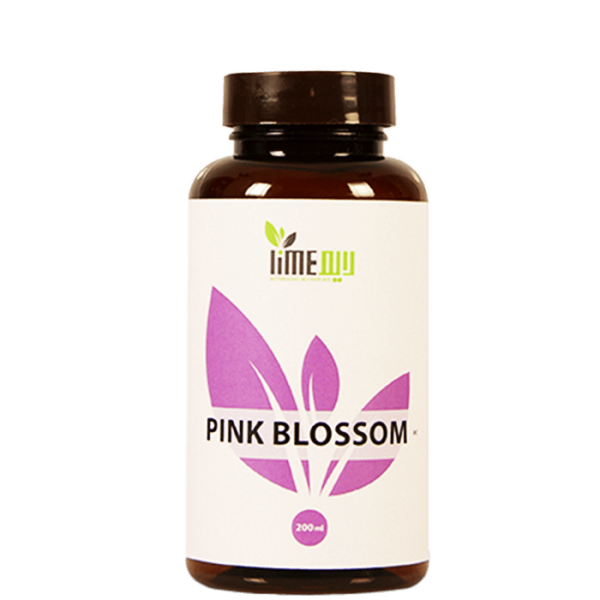 Pink Blossom